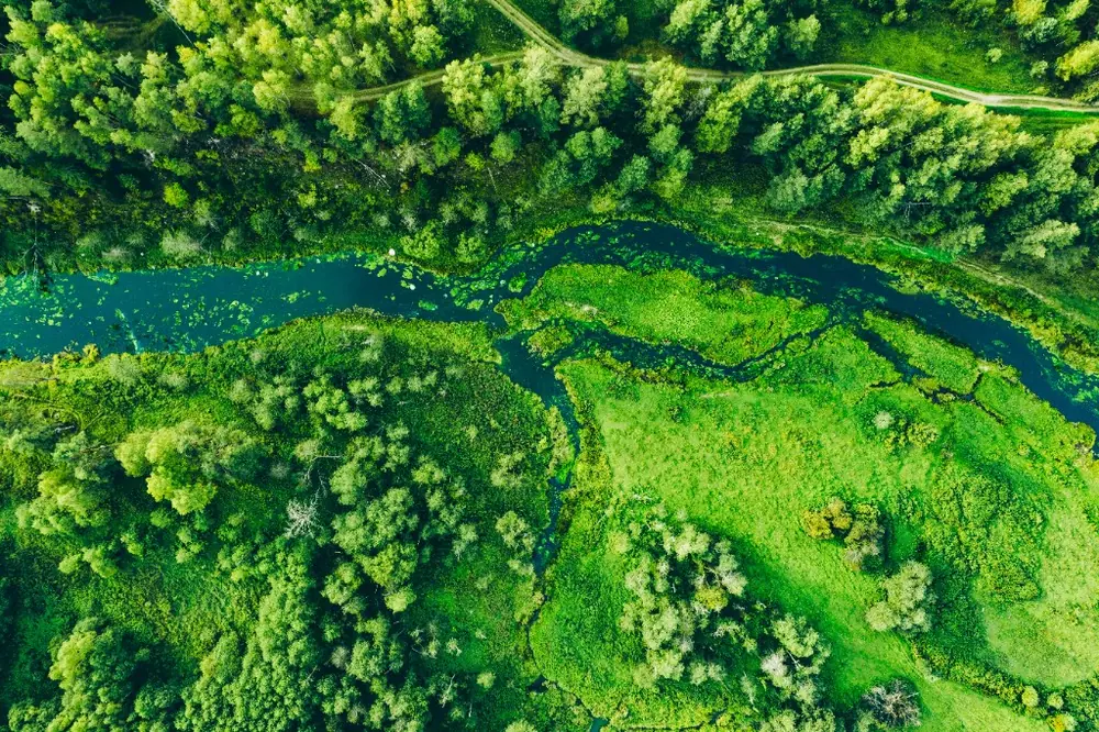 Luftfoto af å, skov og enge – økosystemdiversitet og forskellige levesteder i dansk natur